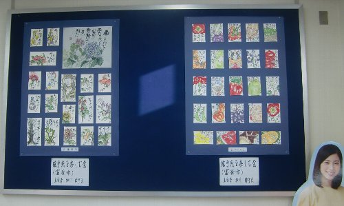 絵手紙を杜の都信用金庫さんにて展示しています！