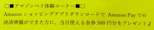 アマゾンペイの体験コーナーがあります！