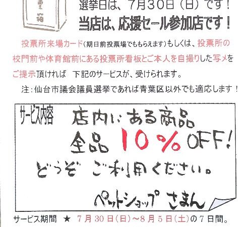 7月30日から選挙割をしています！