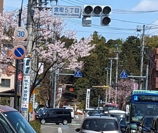 東照宮の春まつりを開催中！