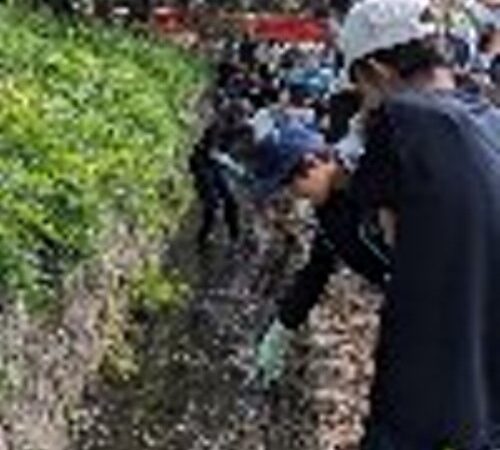 東照宮のお堀清掃を行いました！